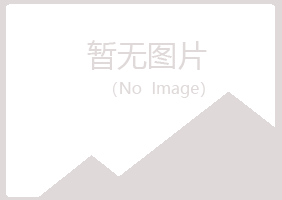 金山屯区沙砾水泥有限公司